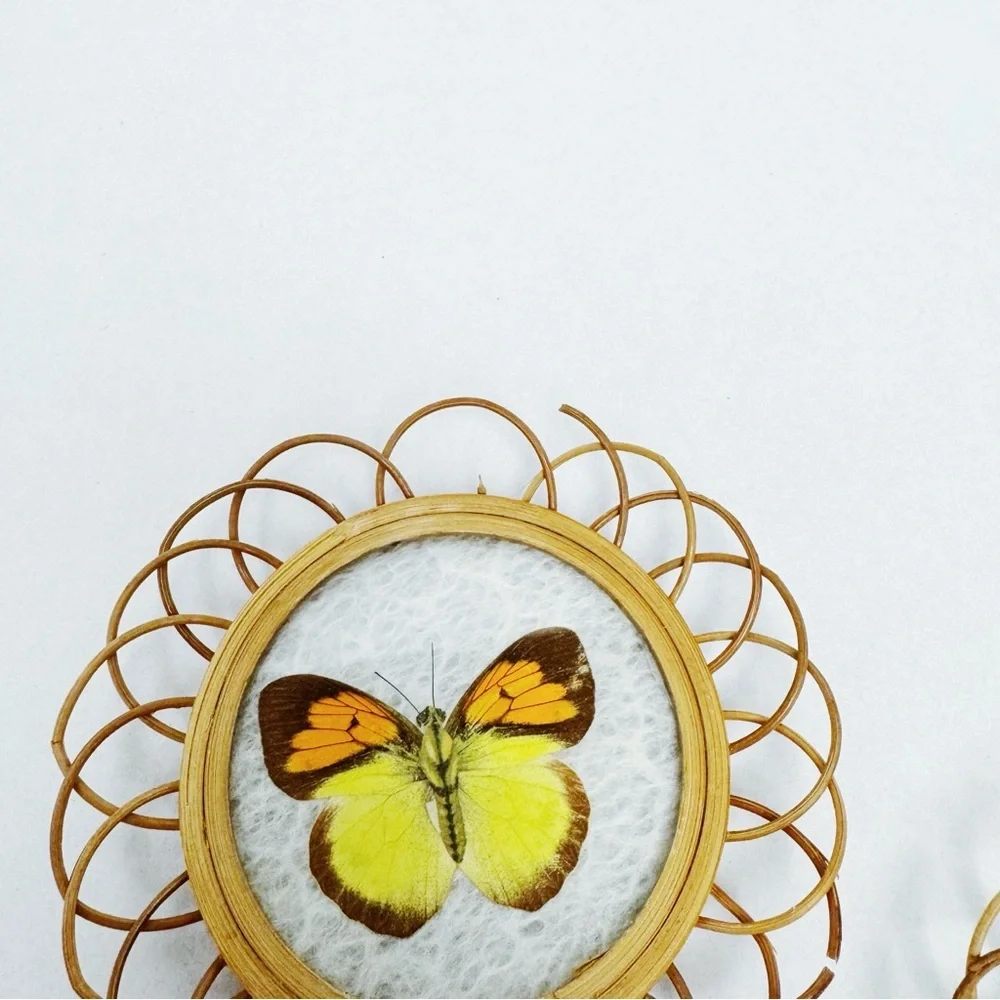 Vintage Real Butterfly Bamboo Coasters